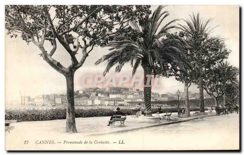 CANNES — Promenade de la Croisette — LL. n°17 - Frente