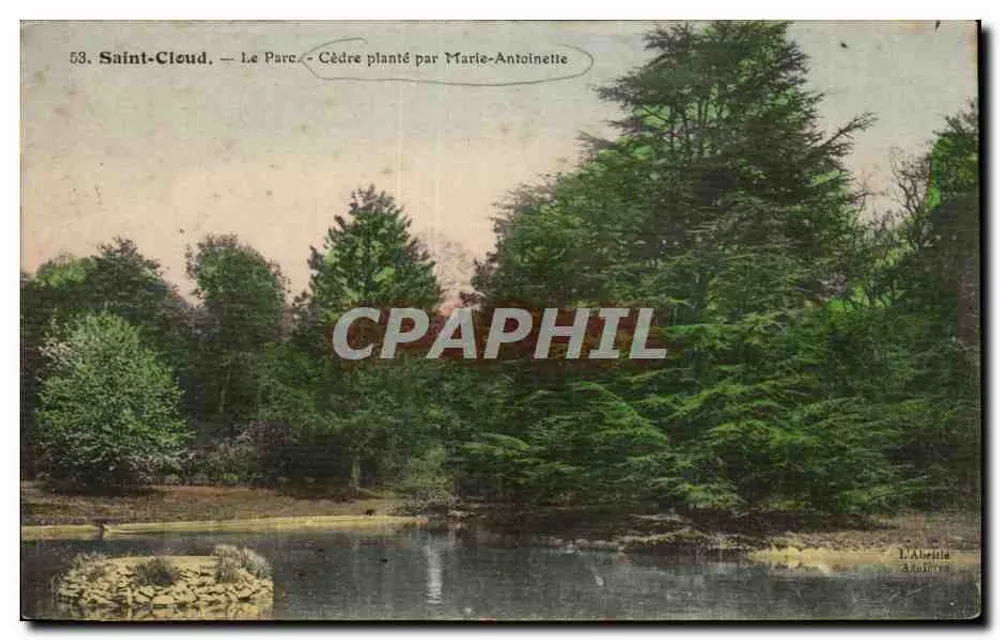 Saint-Cloud — Der Park — Kiefer gepflanzt von Marie-Antoinette — L'Abruti à Paris - Vorderseite