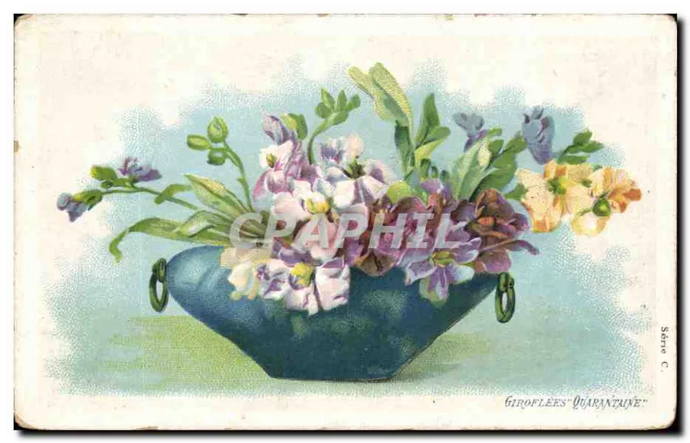 Blumenstrauß — Giroflees Quarantaine — Serie C - Vorderseite