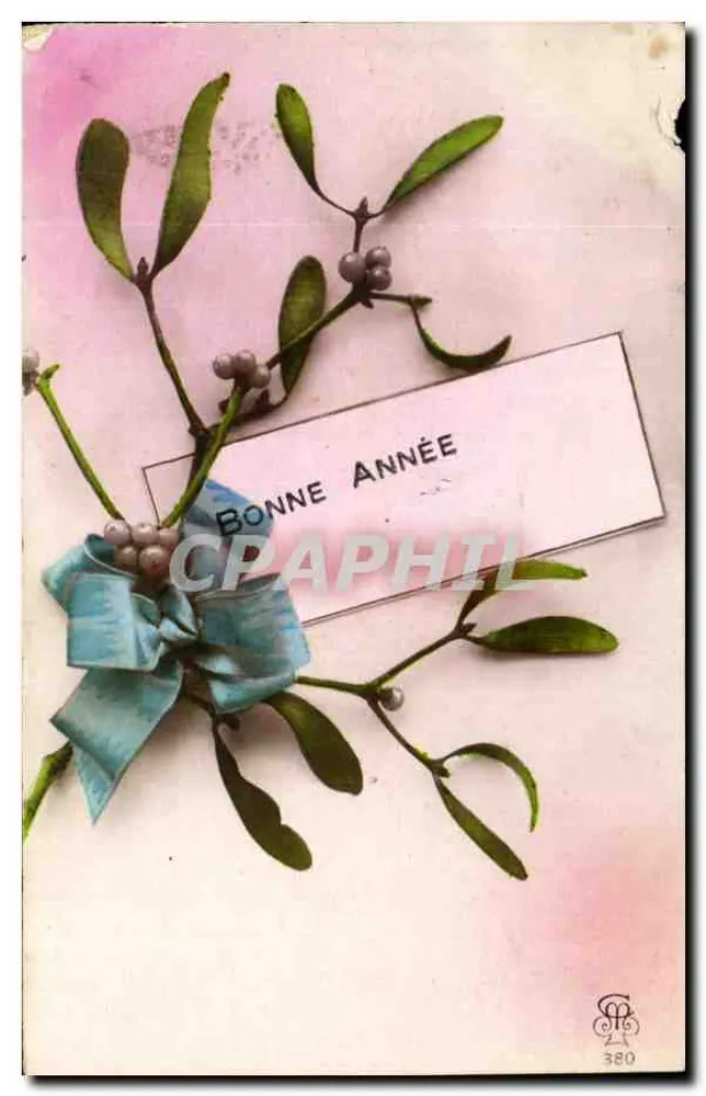 Mistral — branche de gui ornée d'un ruban bleu — éditeur M. & A. n° 380 - Frente