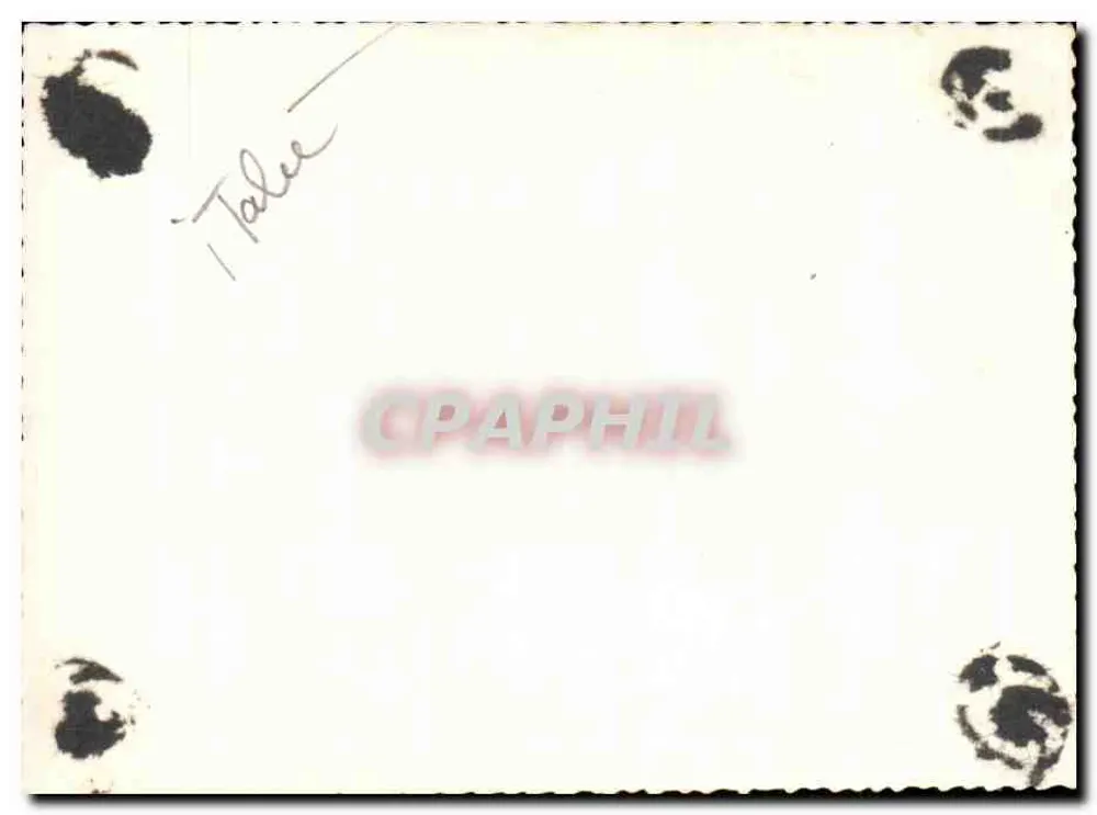 Turim - Castelo Medieval — Ano 1957 - Verso