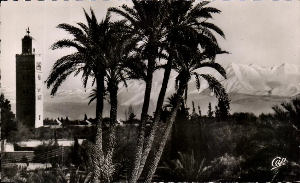 Marrakech - A Koutoubia — vista com palmeiras e montanhas — editor Réal Photo, n°238 - Frente