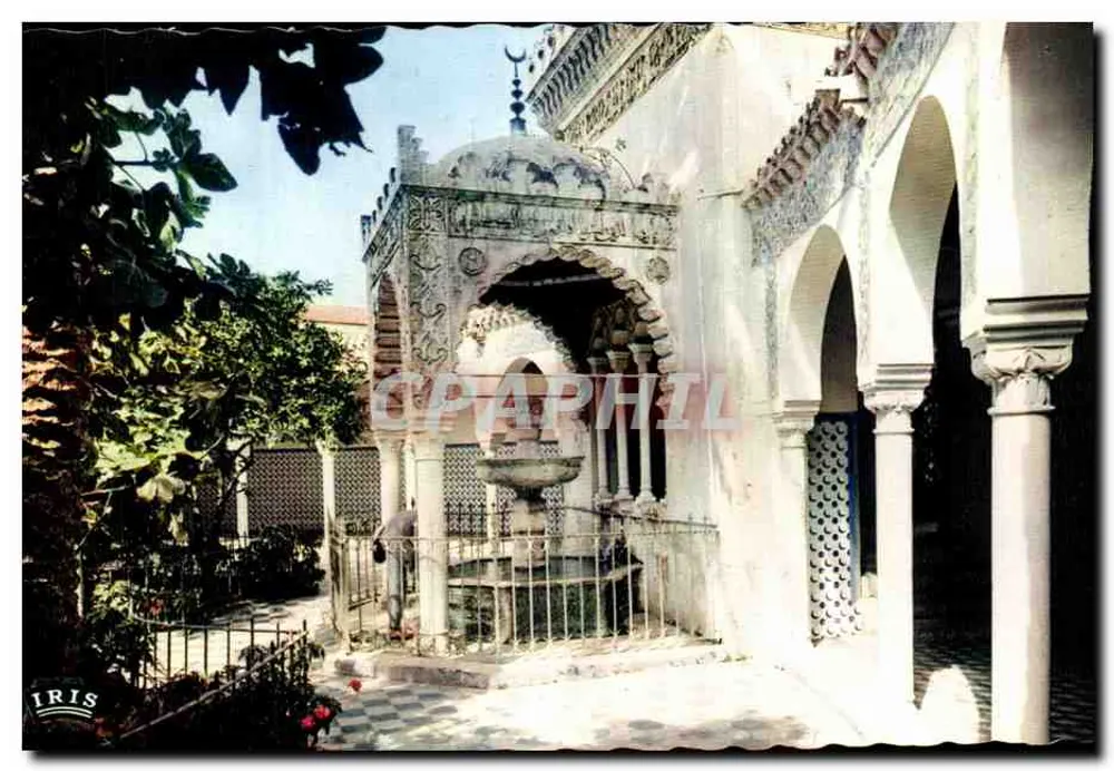 Moschee des Pachas — Die Fontäne der Ablutions — IRIS - Vorderseite