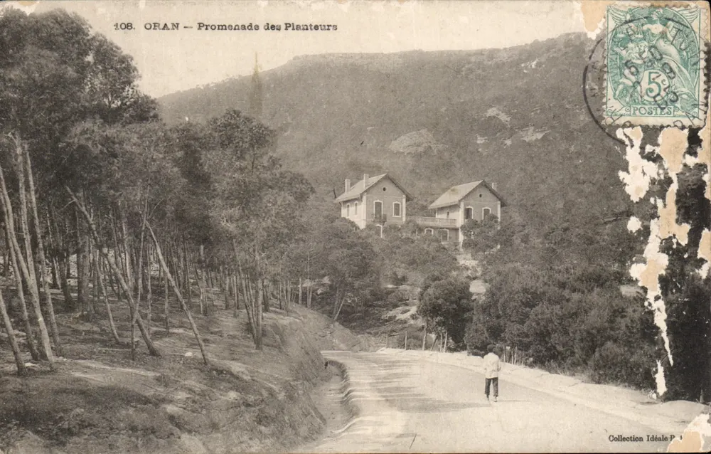Oran — Promenade des Planteurs — Collection Idéale P. n°108 - Frente