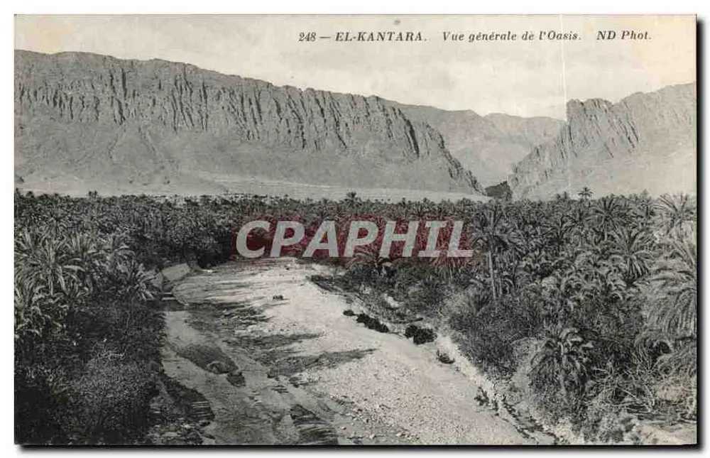 El-Kantara — Vista geral da Oasis — ND Phot. - Frente