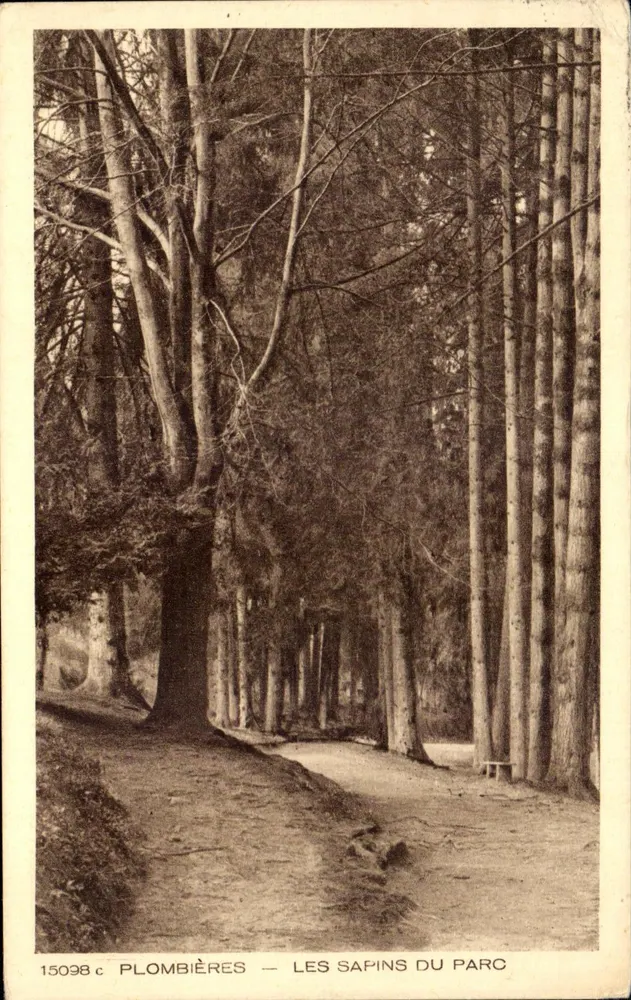 Plombières — Os Pinheiros do Parque — editor Braun & Cie, n° 15098 c - Frente