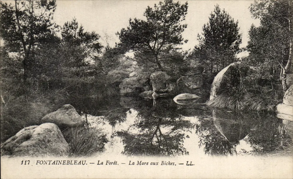 Fontainebleau — Der Wald — Das Biches-See — LL. — Nr. 117 - Vorderseite