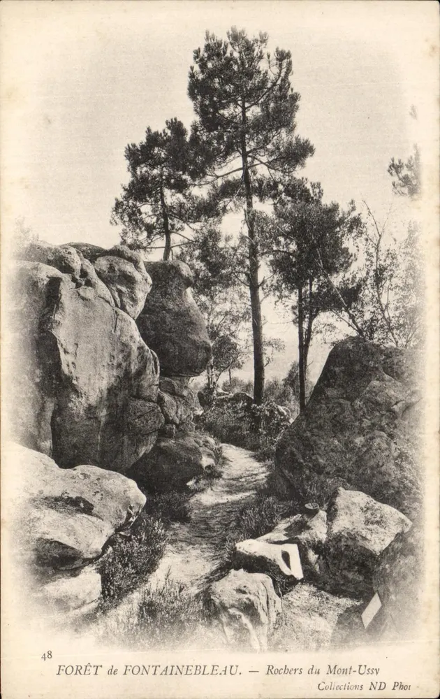 Forêt de Fontainebleau — Rochers du Mont-Ussy — Collections ND Phot - Vorderseite