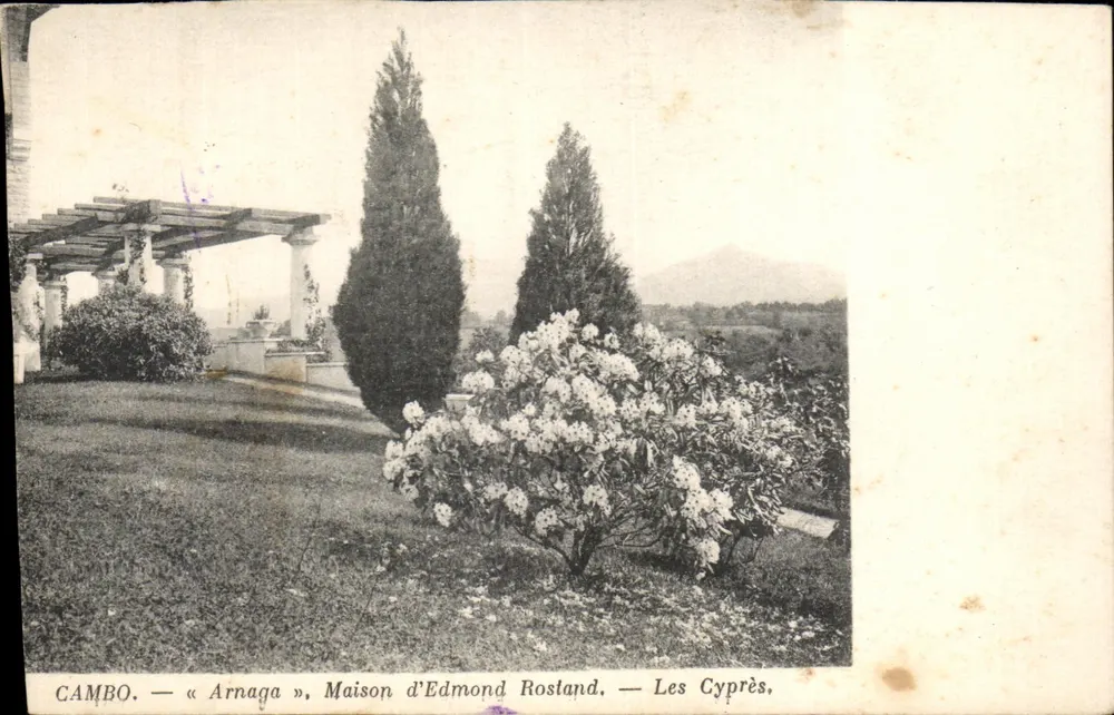Cambo — « Arnaga », Haus von Edmond Rostand — Die Zypressen - Vorderseite