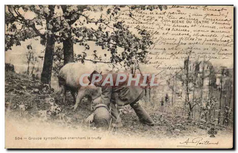 Sympathisches Gruppe, die Trüffel sucht — Szene aus dem Zentrum — A. Pailloux, n° 504 - Vorderseite