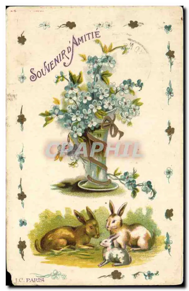 Bouquet de fleurs et lapins — Souvenir d'Amitié — J.C. PARIS - Frente