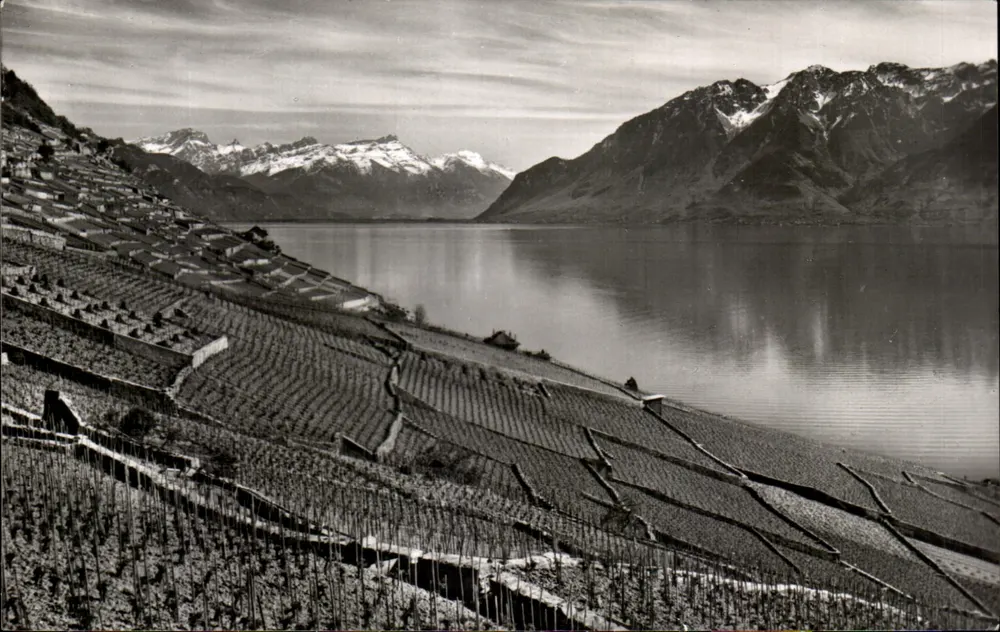 O Coteau de Lavaux — vista panorâmica — Editions Marguerat S.A., n° LA 120 - Frente