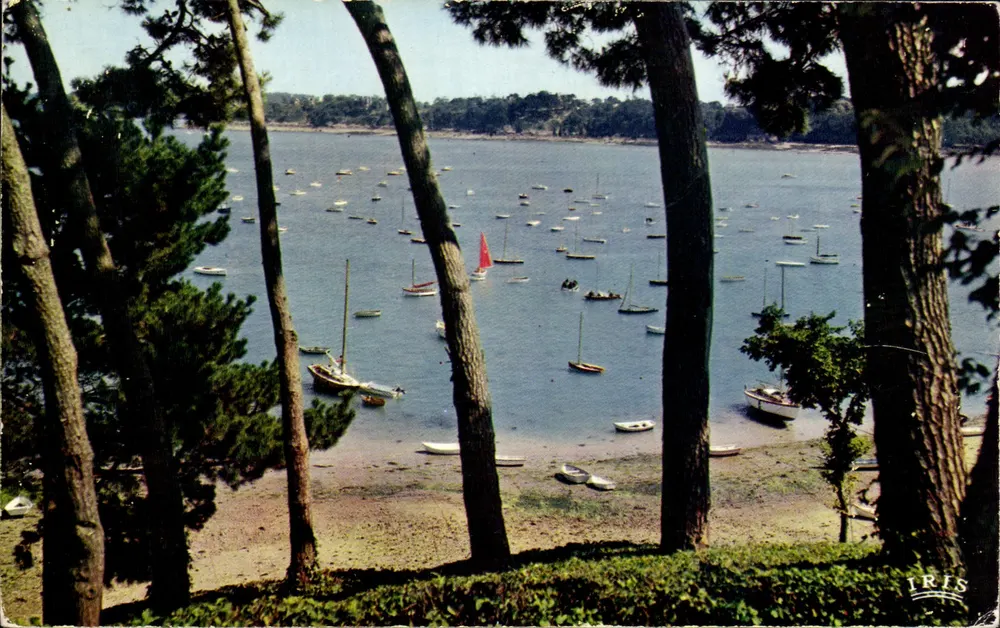 La Baie de la Vicomté — Dinard, Ille-et-Vilaine — Verlag IRIS, n° (67) - Vorderseite