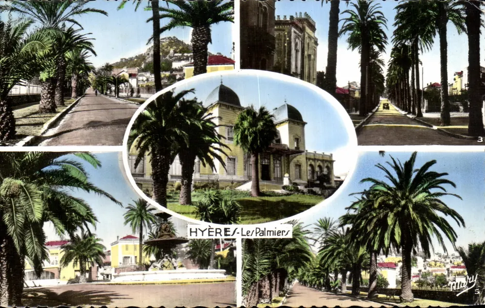 Hyères-Les Palmiers — vista panorâmica com palmeiras e edifícios — editor Mary, n°5 - Frente