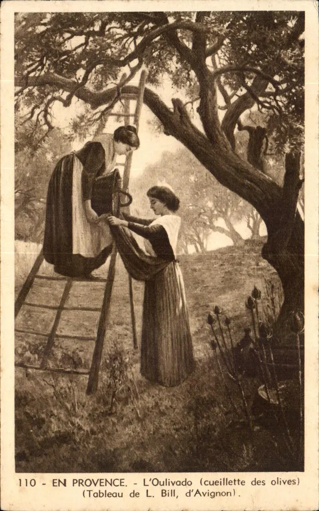 In der Provence — L'Oulivado (Oliven-Ernte) — Gemälde von L. Bill, Avignon - Vorderseite