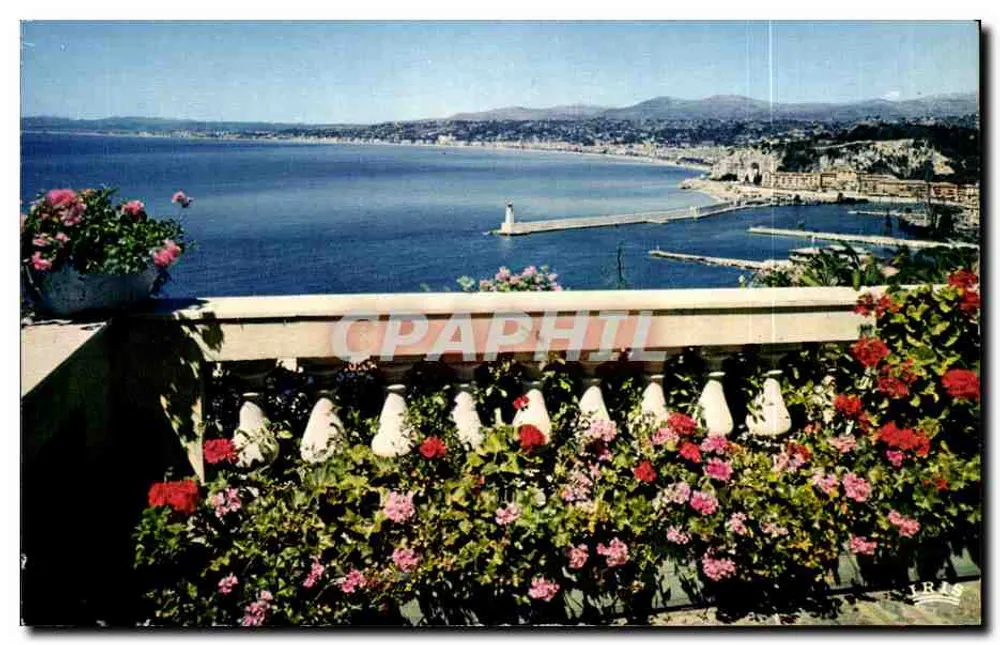 Allgemeiner Blick auf Nice — Côte d'Azur — Éd. Mexichrome, n°208 - Vorderseite