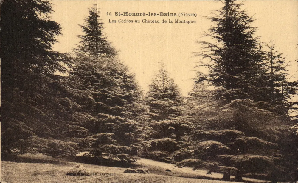 St-Honoré-les-Bains (Nièvre) — Cedars am Schloss der Montagne — Verlag Baymand - Vorderseite