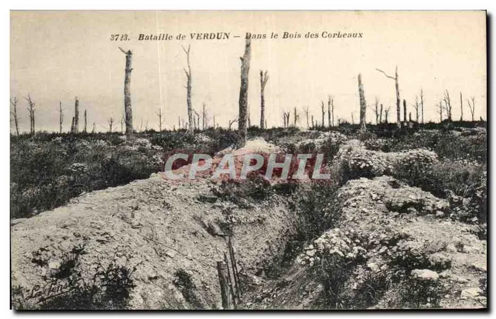 Schlacht von VERDUN — Im Bois des Corbeaux — n° 3723 - Vorderseite