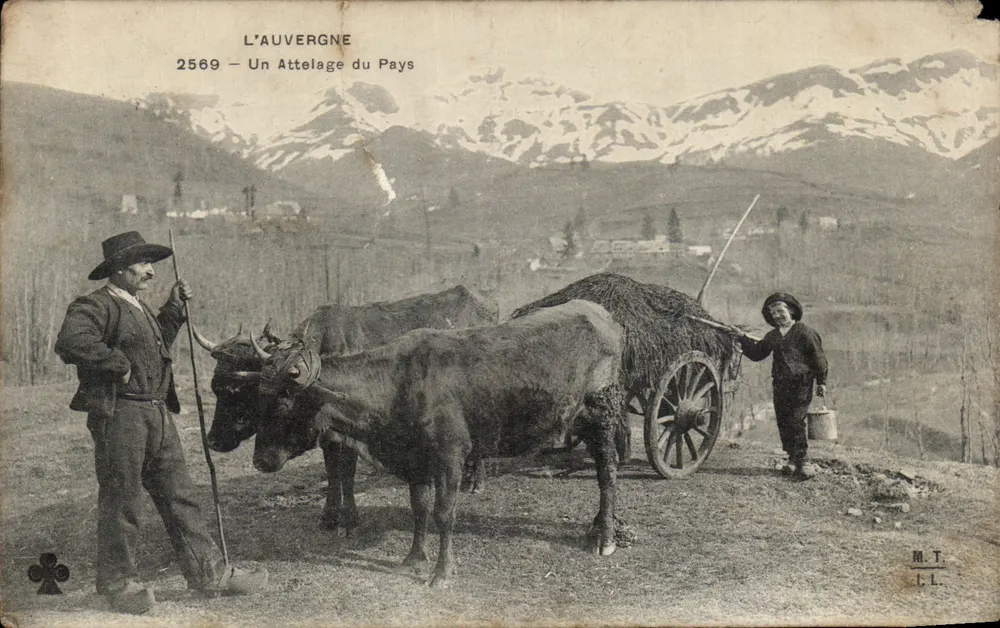 L'Auvergne — Un Attelage du Pays — L.A.UVERGNE, n°2569 - Vorderseite