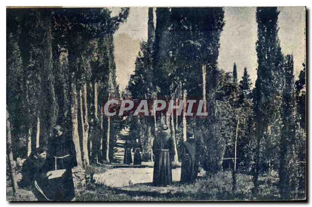 Fiesole - Konvent von St. Franziskus - Der Wald - Ansichtskarte - Vorderseite