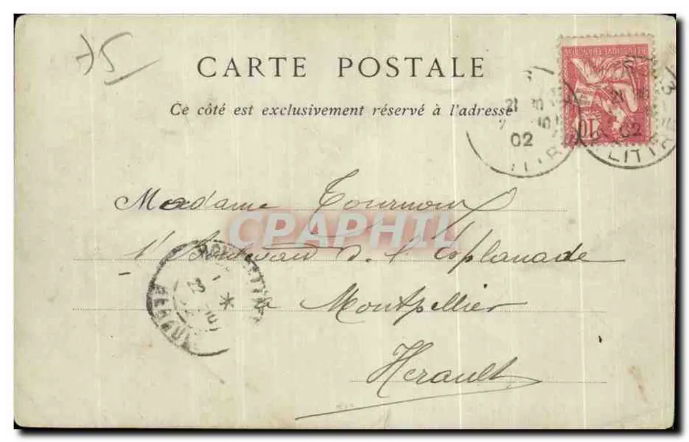 Paris — La Rue de Sèvres — éditeur J. Mazin & Cie, n° 174 - Verso