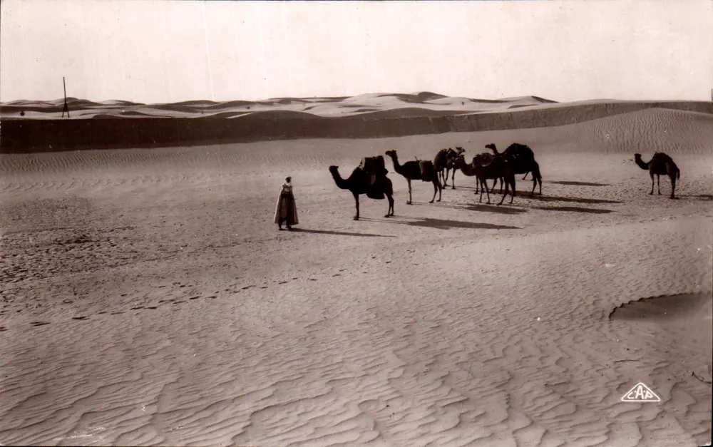 Deserto — Paisagem desértica — 'Real Photo' G.A. P. Strasbourg - Frente
