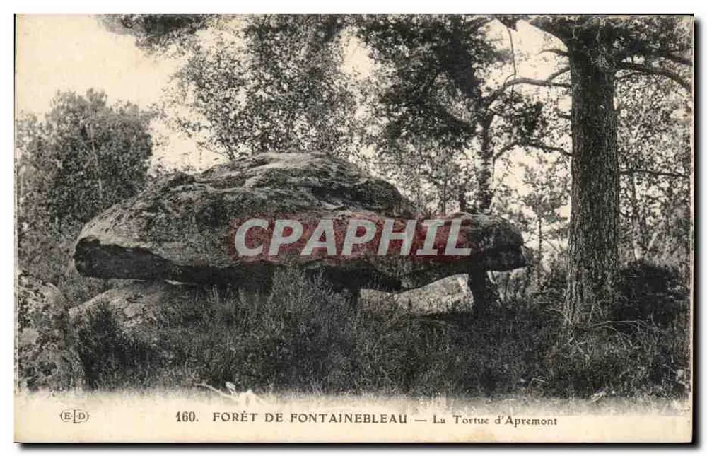 Wald von Fontainebleau — Die Schildkröte von Apremont — Verlag ELD, Nr. 160 - Vorderseite