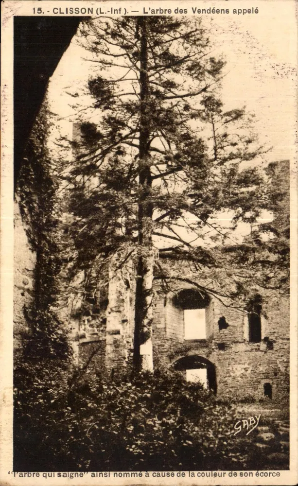 Clisson (L.-Inf.) — Der Baum der Vendéer, genannt 'der blutende Baum' — Gaby - Vorderseite