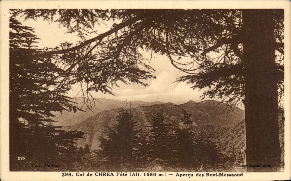 Col de CHRÉA im Sommer (Höhe 1550 m.) — Blick auf Beni-Messaoud — Fot. Bonnire-Haçcin - Vorderseite