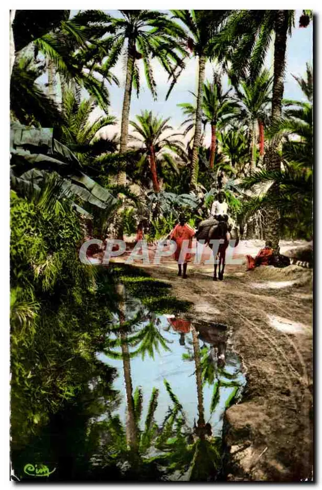 Oásis da Região de Kabylie — Coleção Artística «L'Afrique» n°1327 — Cliché R. Prouilly, Cambrai (D'Or) - Frente