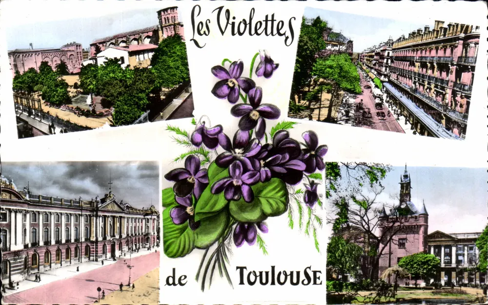 As Violetas de Toulouse — Ed. Pyr. Océan - Frente