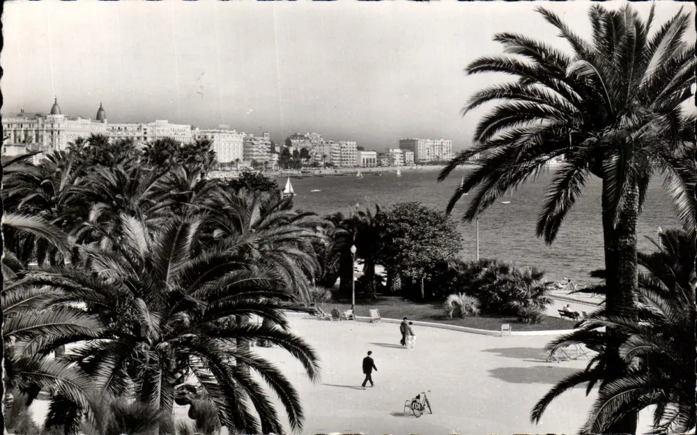 Cannes — Die Croisette und die Paläste — Éditions S.E.P. n°8-236 - Vorderseite