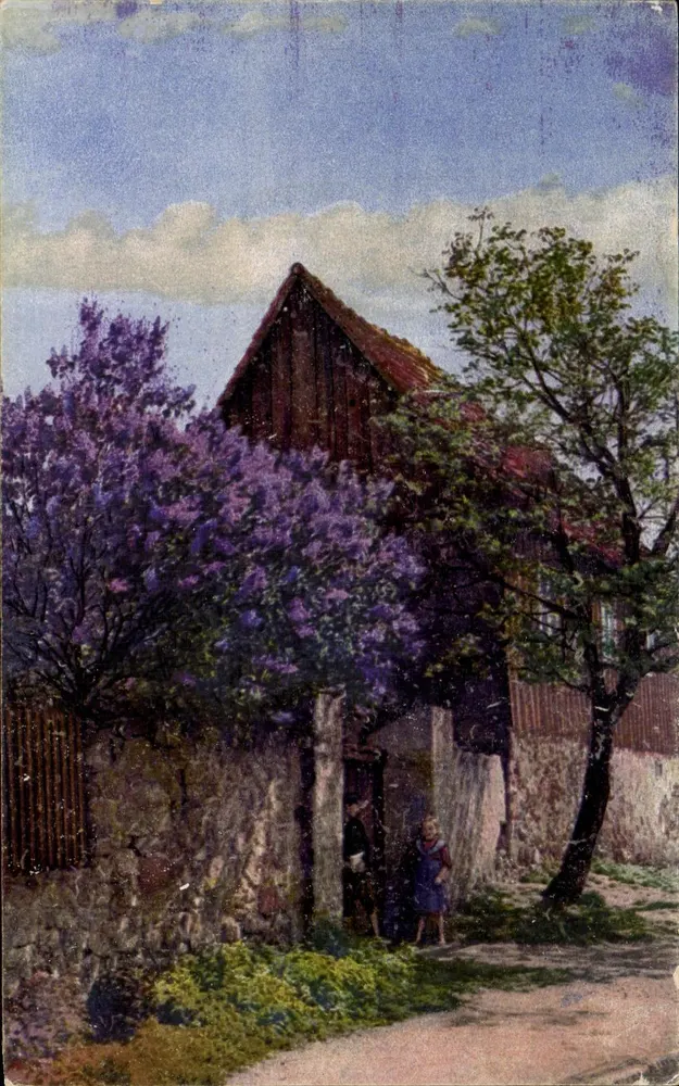 Vista de uma casa com lilás em flor — Série Photochromie 261 n° 4111 - Frente