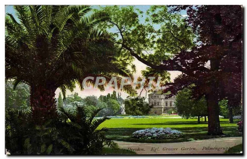ड्रेसडेन — Kgl. Grosser Garten, Palmengruppe — Verlag von Emil Degenkolb, N° 218 - आगे