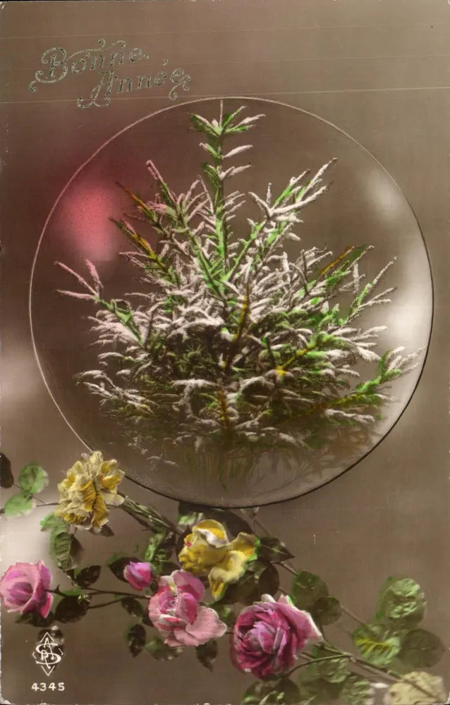 Bouquet van rozen en plant in bol — Goed jaar 4345 — A. D. V. Uitgever - Voorkant