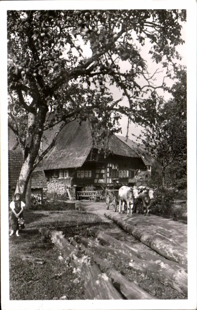 Landbouwlandschap — Elsass — uitgever AnsidMakartfabrik & Co., Schwabach - Voorkant
