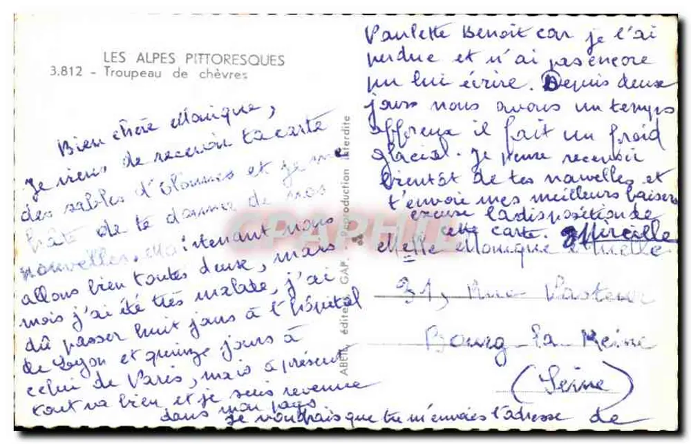 Ziegenherde — pittoreske Alpen — GAP-Ausgabe, Nr. 3.812 - Rückseite