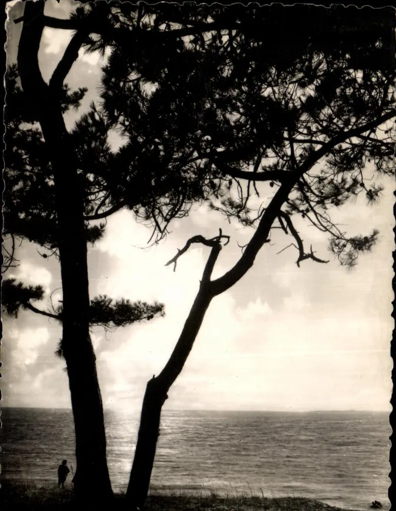 Sonnenuntergang über das Meer — Vieux-Boucau-les-Bains (Landes) — Éditions Van Eck-Routleau - Vorderseite