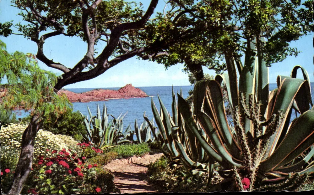 Côte d'Azur — Harmonie von Farbe und Licht — Caisse Nationale d'Epargne - Vorderseite