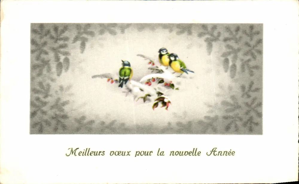 Vögel auf einer schneebedeckten Zweig — Beste Wünsche für das neue Jahr — Weihnachtskarte - Vorderseite