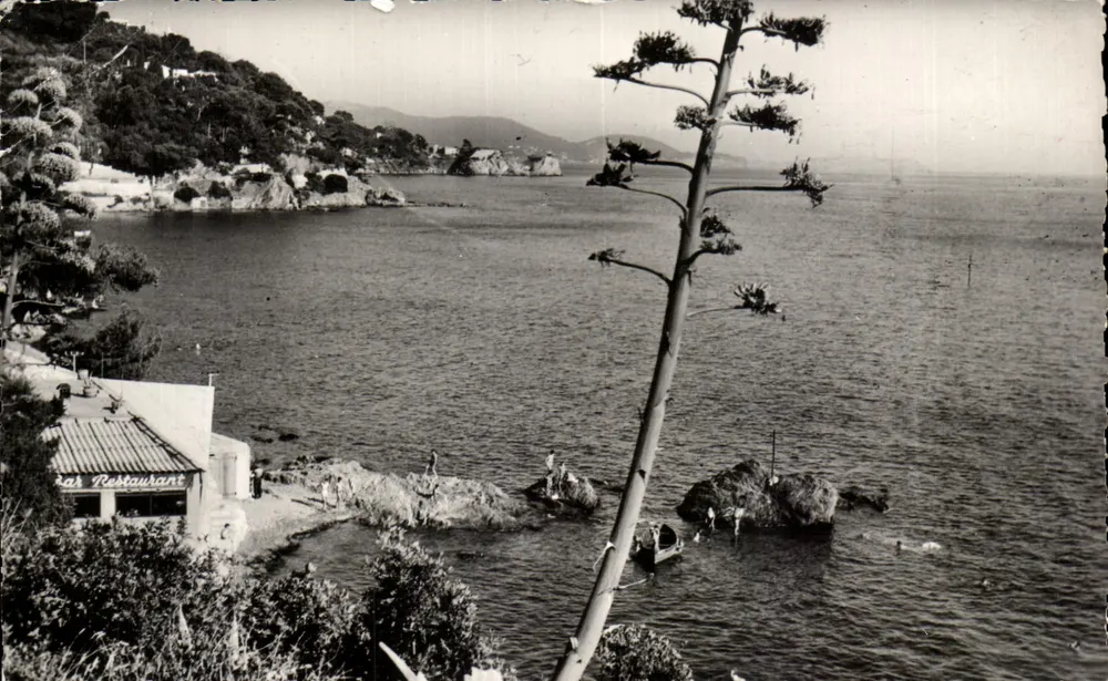 Vue sur le Cap-Brun — Toulon — Édition BOURDIN, n° 439 - Frente