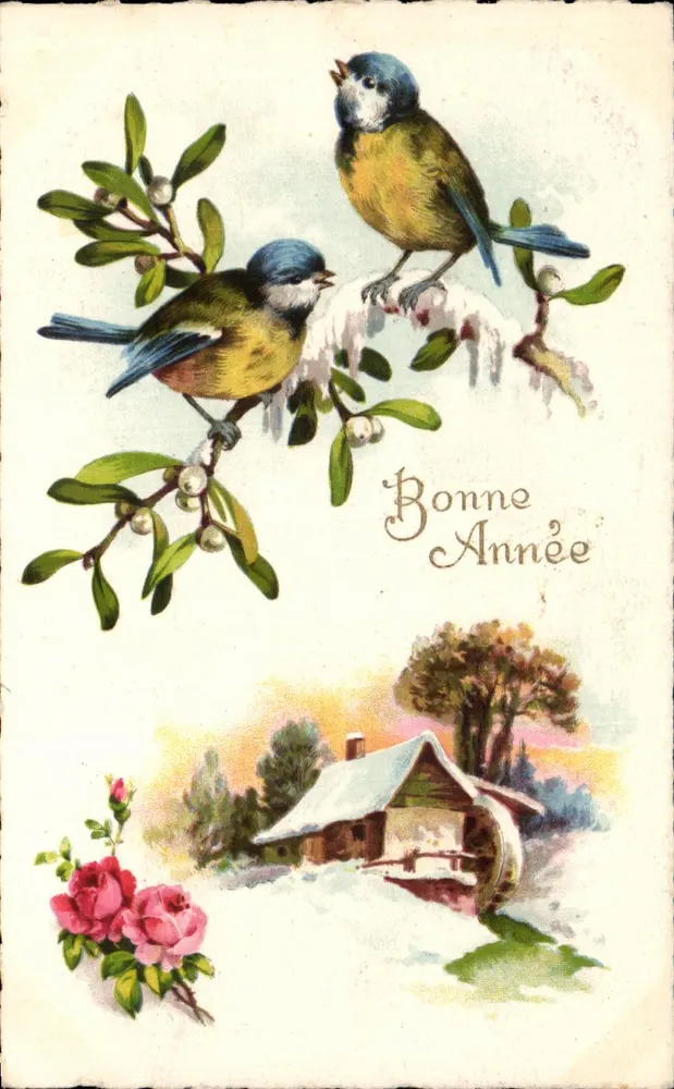 दो चिड़ियाँ एक बूटी के झाड़ी पर — शुभ वर्ष — एडिटर ओउंड्रे, संख्या 351 - आगे