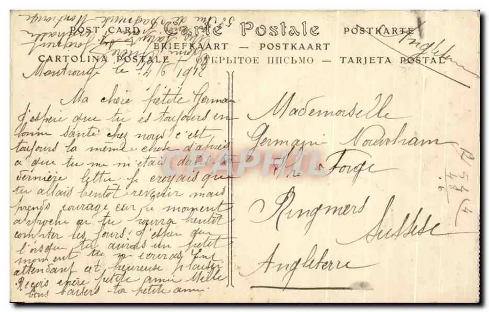 Roseraie de l'Hay (Seine) — Eingang zur Sammlung der Multiflora-Kletterrosen — n°4 - Rückseite