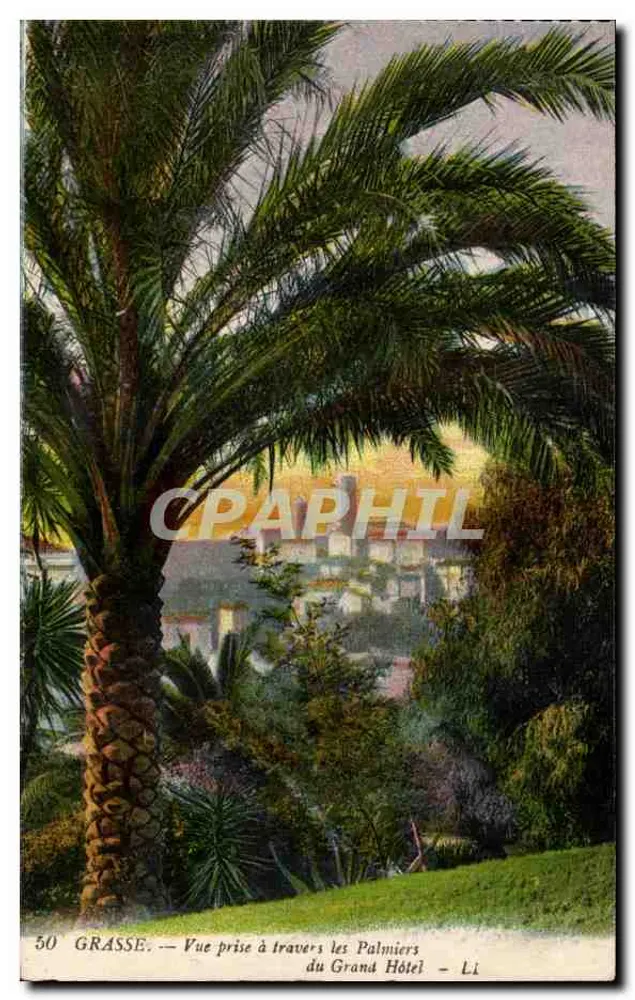 Grasse — Ansicht durch die Palmen des Grand Hotels — Li - Vorderseite