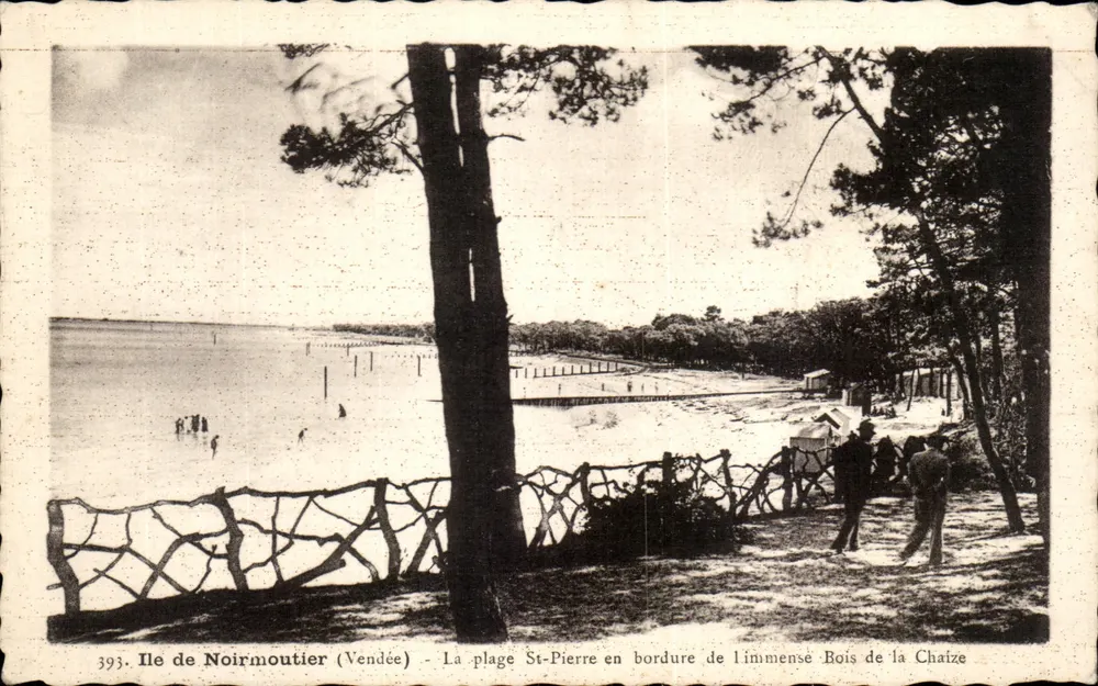 Insel Noirmoutier (Vendée) — La plage St-Pierre am Rand des großen Bois de la Chaize — J. Nozais, Nantes - Vorderseite