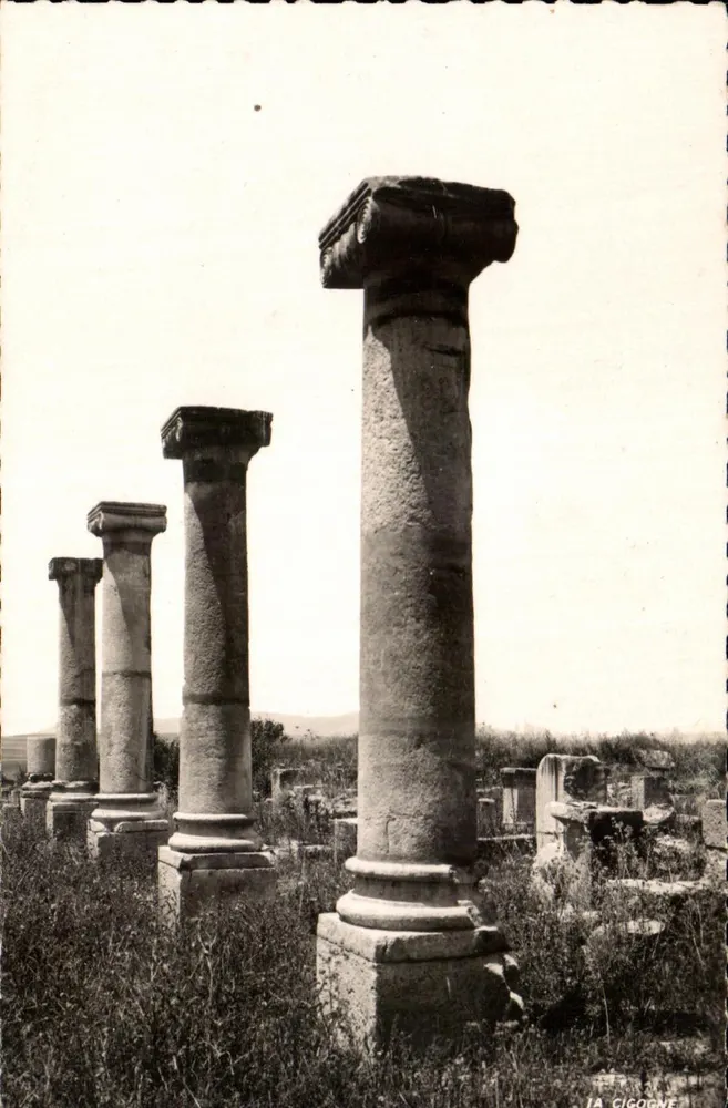 Ruinen von Volubilis — Fassade des Palastes, genannt der Gordian — Edition La Cigogne - Vorderseite