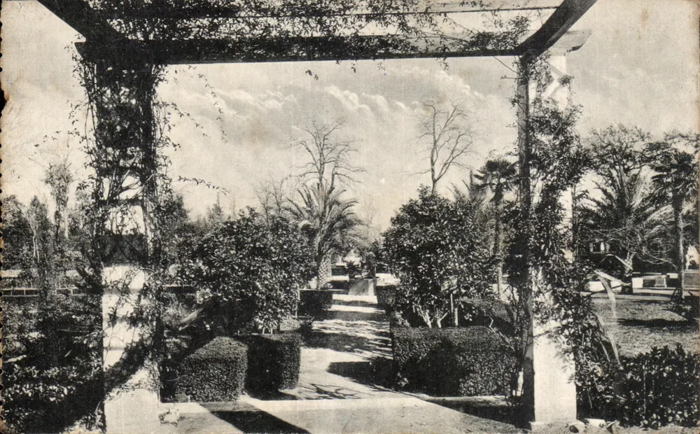 Sevilla - Parque de María Luisa — Detail der Ranken — Verlag Abascal Llazar, Sevilla, Nr. 68 - Vorderseite