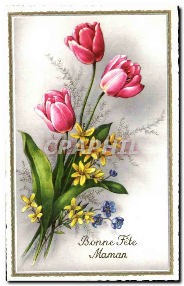Tulipas e flores — Boa Festa, Mamãe — editor não visível - Frente