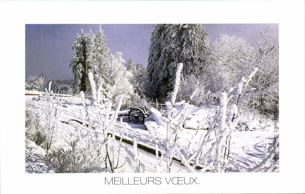Paisagem invernal nevada — Melhores Desejos — Foto Louis Berthier, editor Médiat - Frente