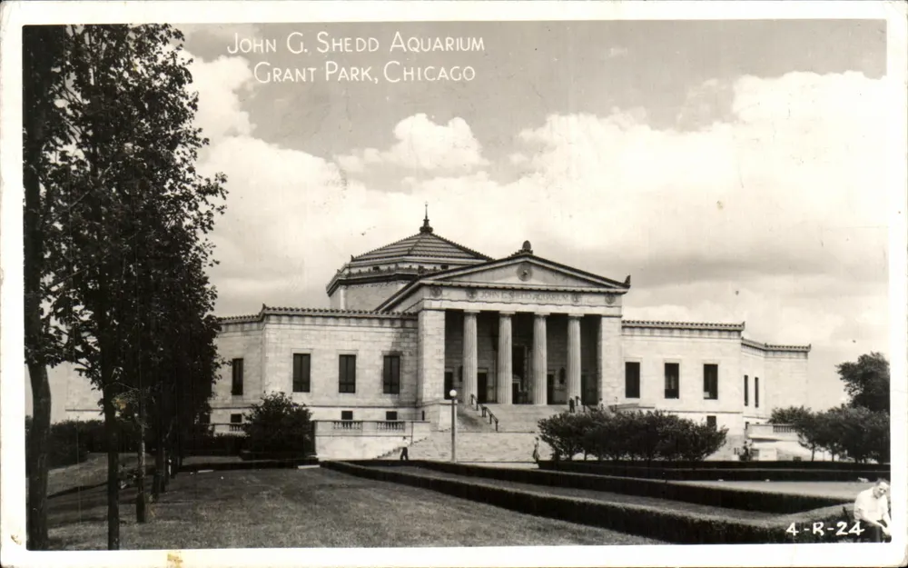 John G. Shedd Aquarium — bâtiment classique à colonnes — éditeur Kodak, n° de série 4-R-24 - Frente